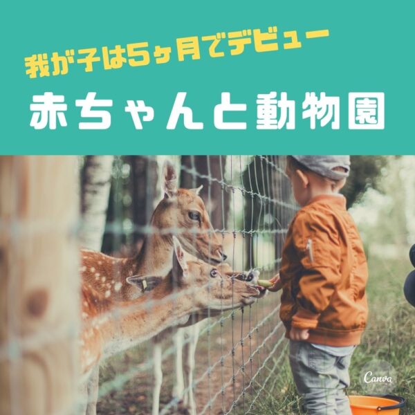 5ヶ月の赤ちゃんと動物園 いつから行く 持って行くモノ7選 オクラ遥ブログ